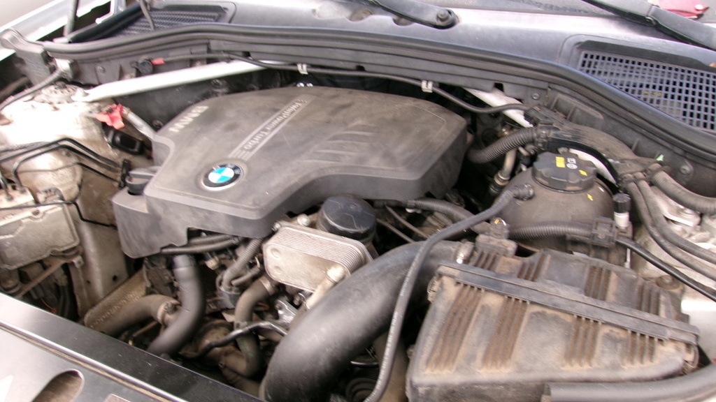 Pacific Auto Auction 2025.10.07.100_0345.JPG