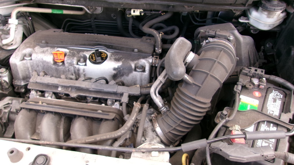 Pacific Auto Auction 2025.10.07.100_0367.JPG