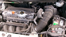 Pacific Auto Auction 2025.10.07.100_0367.JPG