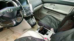 Pacific Auto Auction 2025.10.07.100_0387.JPG