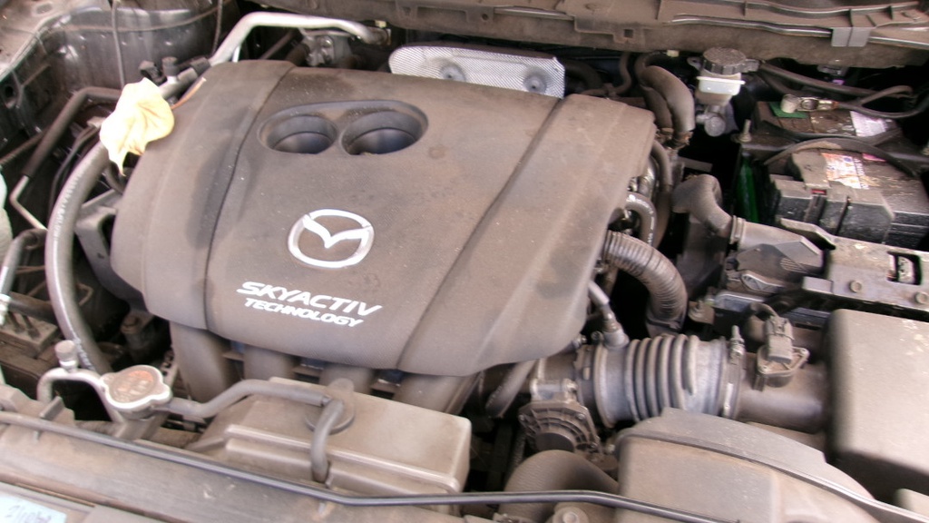 Pacific Auto Auction 2025.10.07.100_0402.JPG