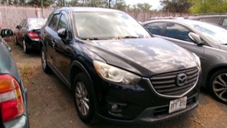 Pacific Auto Auction 2025.10.07.100_0404.JPG