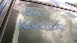 Pacific Auto Auction 2025.10.07.100_0406.JPG