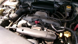 Pacific Auto Auction 2025.10.07.100_0424.JPG