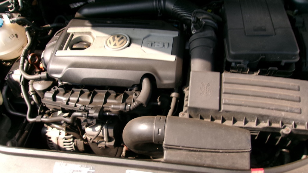 Pacific Auto Auction 2025.10.07.100_0445.JPG