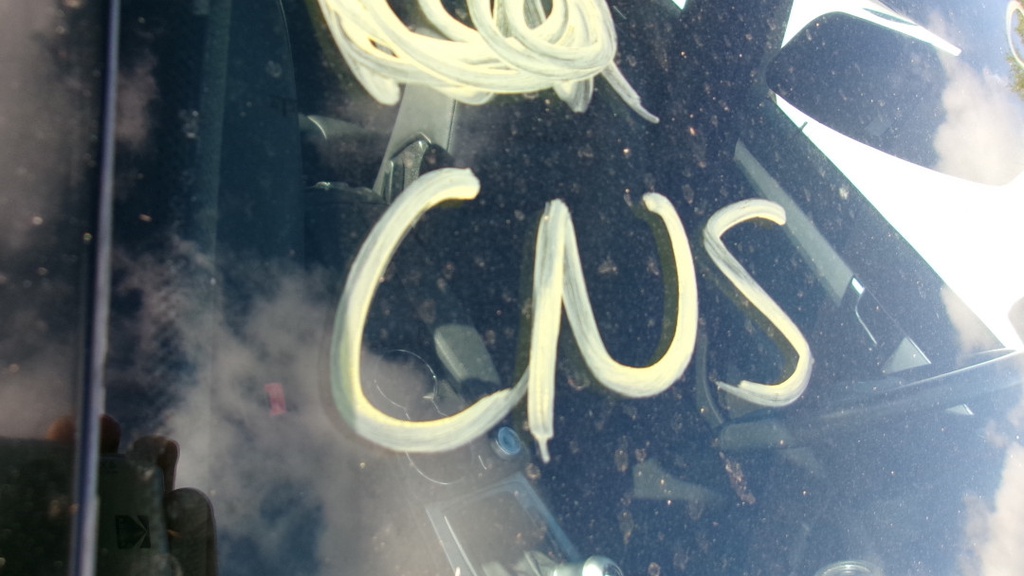 Pacific Auto Auction 2025.08.05.100_0403.JPG