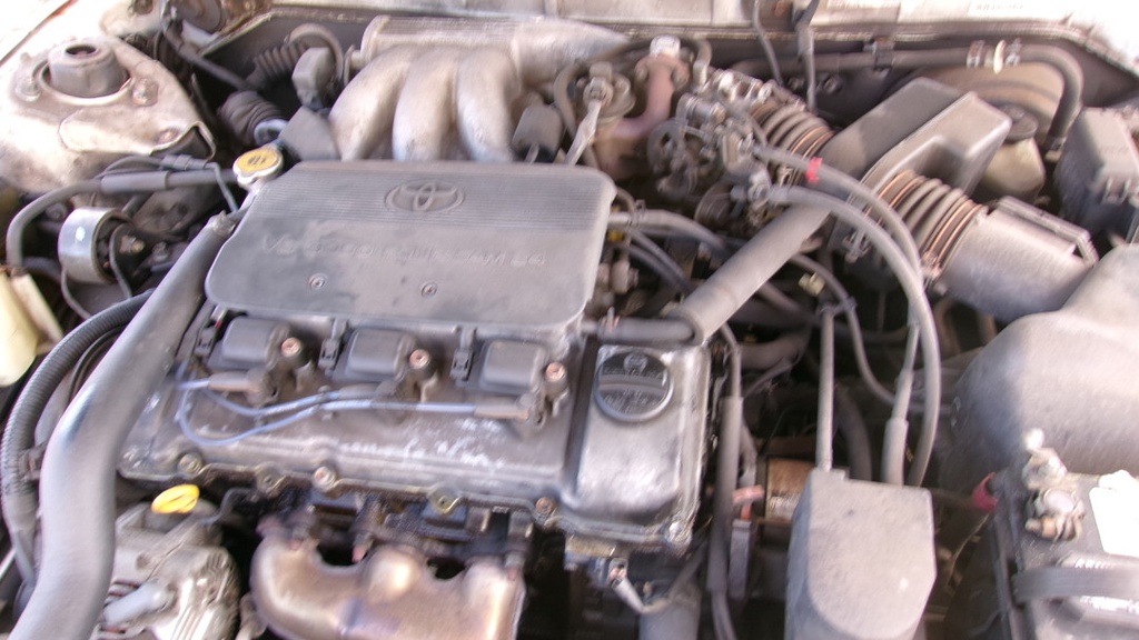 Pacific Auto Auction 2025.09.16.100_0393.JPG