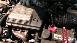 Pacific Auto Auction 2025.10.14.100_0020.JPG