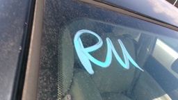 Pacific Auto Auction 2025.10.14.100_0035.JPG