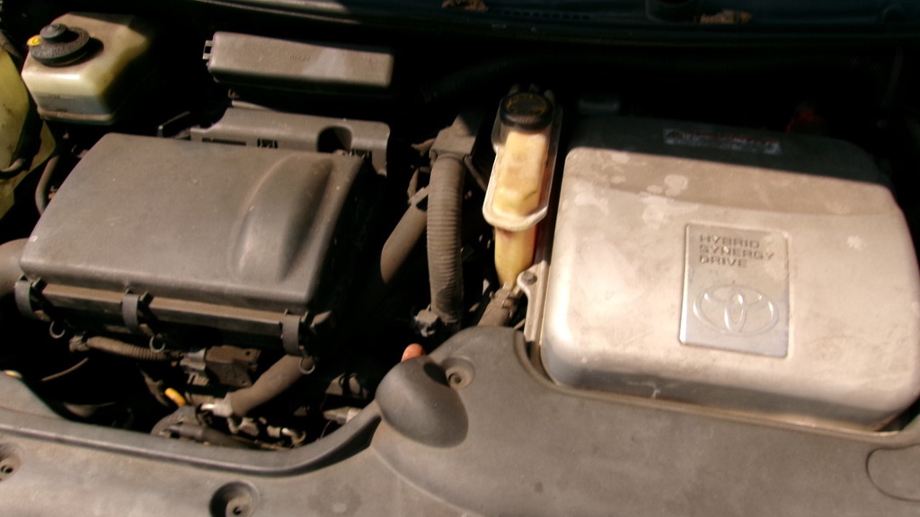 Pacific Auto Auction 2025.10.14.100_0043.JPG