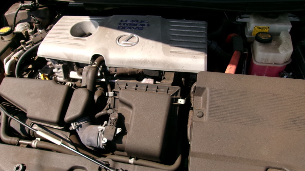 Pacific Auto Auction 2025.10.14.100_0067.JPG