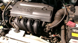 Pacific Auto Auction 2025.10.14.100_0078.JPG