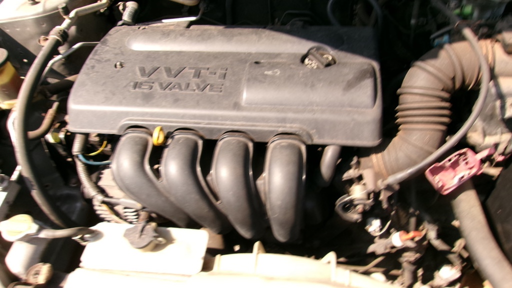 Pacific Auto Auction 2025.10.14.100_0090.JPG