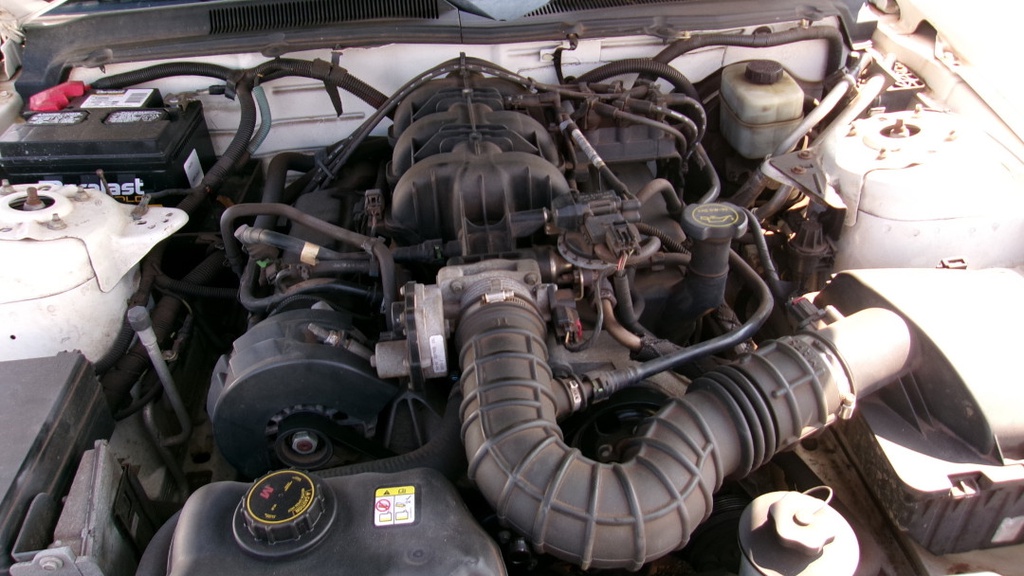 Pacific Auto Auction 2025.10.14.100_0124.JPG