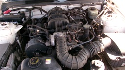 Pacific Auto Auction 2025.10.14.100_0124.JPG