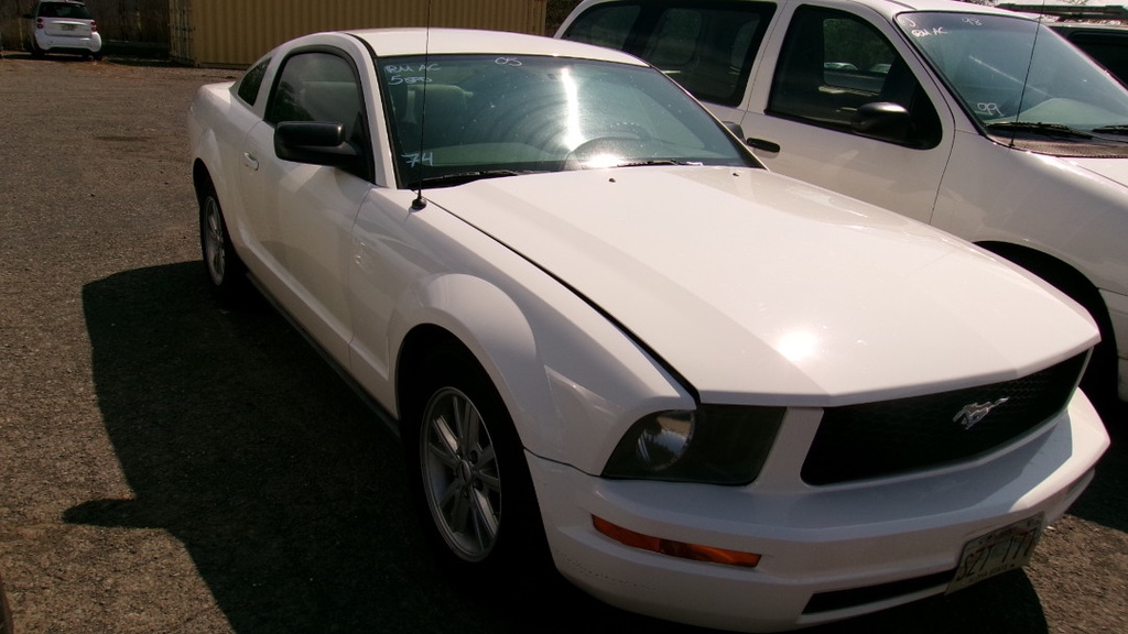 Pacific Auto Auction 2025.10.14.100_0126.JPG