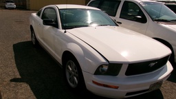 Pacific Auto Auction 2025.10.14.100_0126.JPG