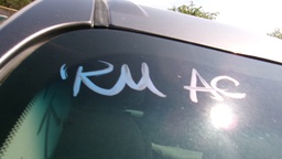 Pacific Auto Auction 2025.10.14.100_0150.JPG