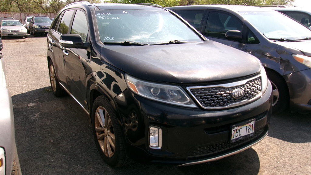 Pacific Auto Auction 2025.10.14.100_0159.JPG