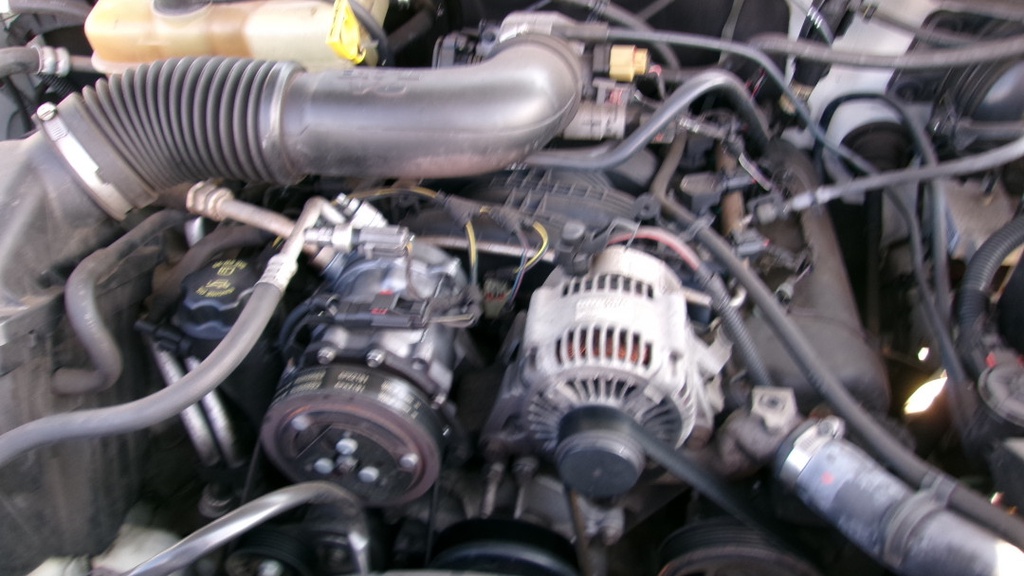 Pacific Auto Auction 2025.10.14.100_0169.JPG