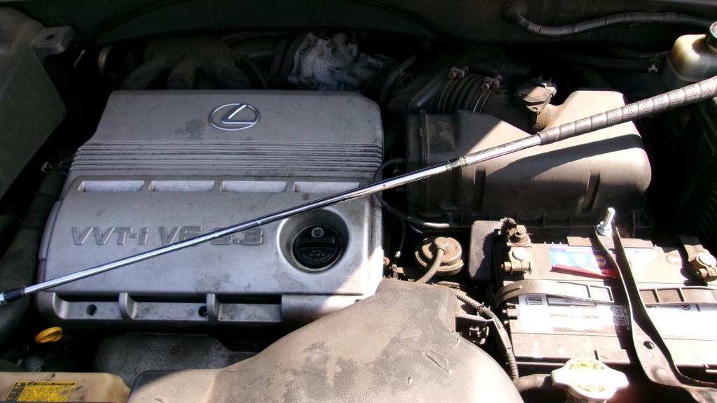 Pacific Auto Auction 2025.10.14.100_0193.JPG