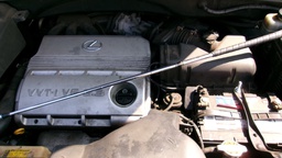 Pacific Auto Auction 2025.10.14.100_0193.JPG