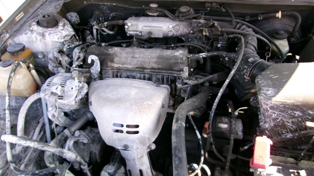 Pacific Auto Auction 2025.10.14.100_0204.JPG