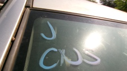 Pacific Auto Auction 2025.10.14.100_0219.JPG