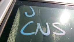 Pacific Auto Auction 2025.10.14.100_0230.JPG