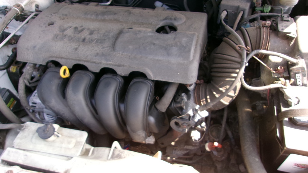 Pacific Auto Auction 2025.10.14.100_0237.JPG