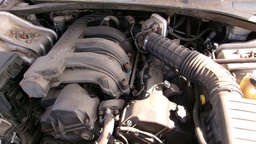 Pacific Auto Auction 2025.10.14.100_0250.JPG