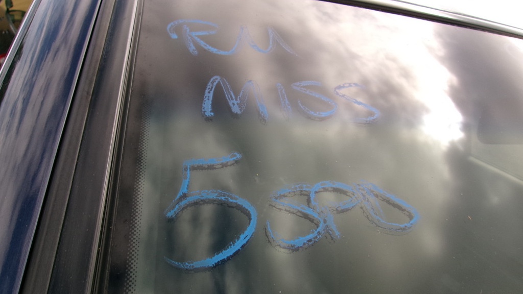 Pacific Auto Auction 2025.10.14.100_0273.JPG