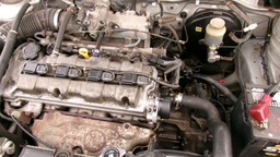 Pacific Auto Auction 2025.10.14.100_0290.JPG