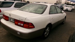 Pacific Auto Auction 2025.10.14.100_0306.JPG