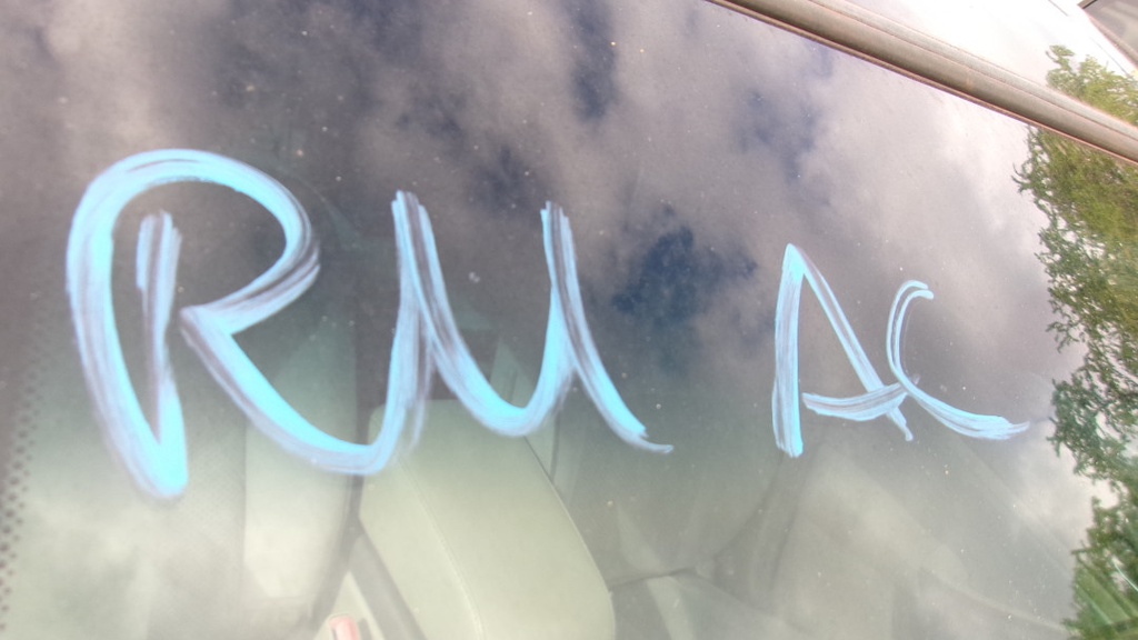 Pacific Auto Auction 2025.10.14.100_0348.JPG