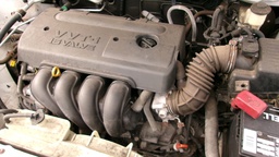 Pacific Auto Auction 2025.10.14.100_0367.JPG