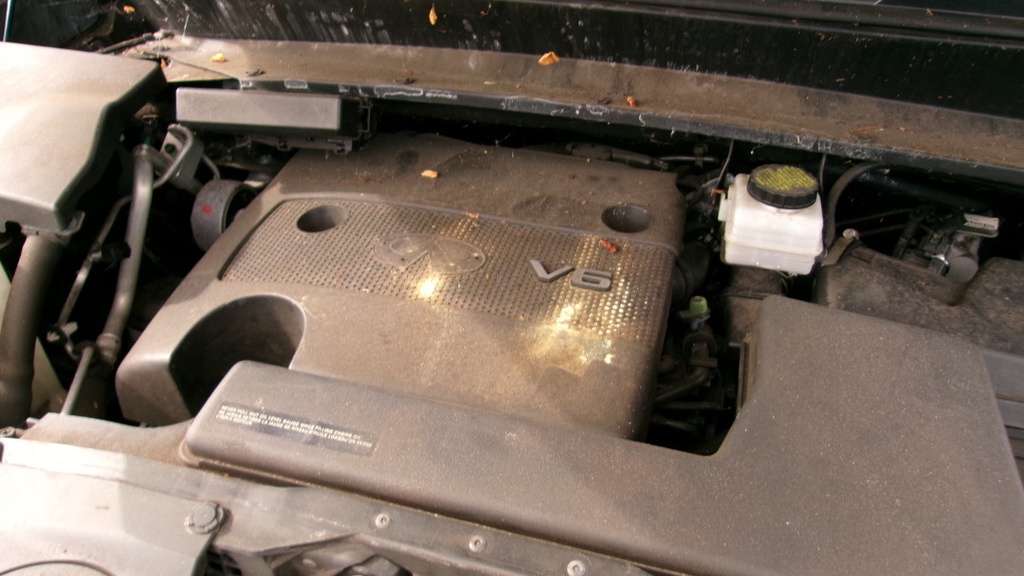 Pacific Auto Auction 2025.10.14.100_0379.JPG