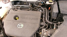 Pacific Auto Auction 2025.10.14.100_0391.JPG