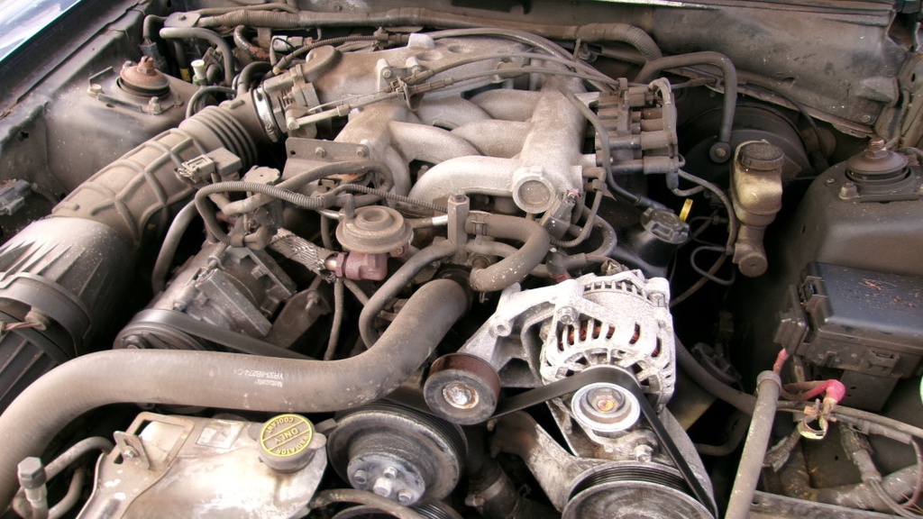 Pacific Auto Auction 2025.10.14.100_0413.JPG