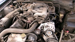 Pacific Auto Auction 2025.10.14.100_0413.JPG