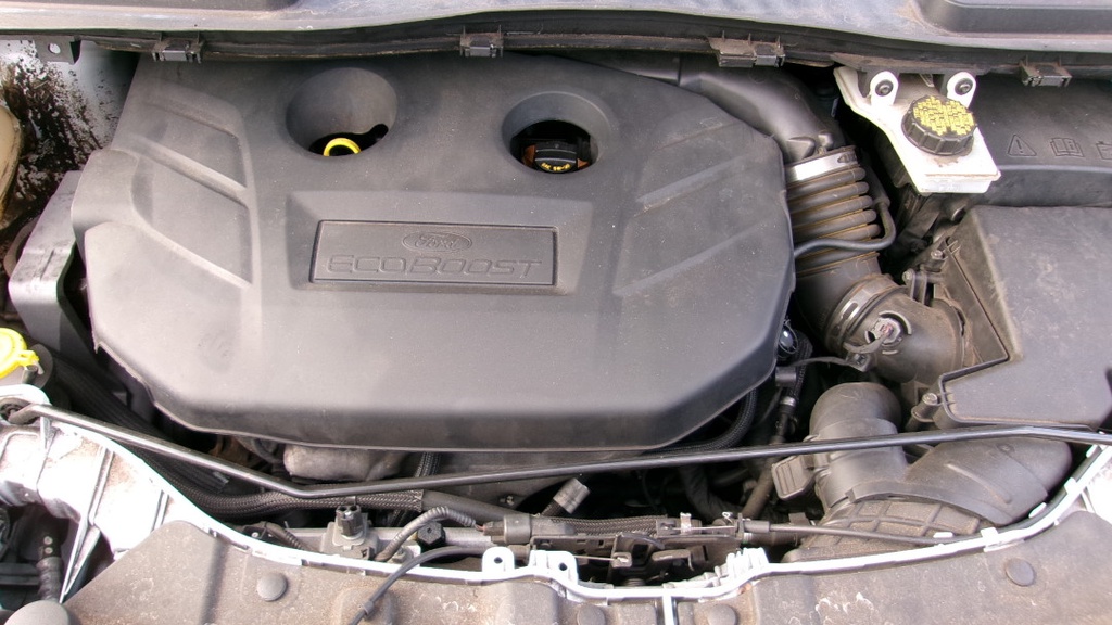 Pacific Auto Auction 2025.10.14.100_0424.JPG