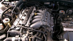 Pacific Auto Auction 2025.09.09.100_0047.JPG