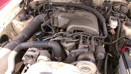 Pacific Auto Auction 2025.09.16.100_0250.JPG