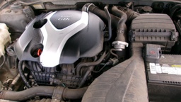 Pacific Auto Auction 2025.10.07.100_0391.JPG