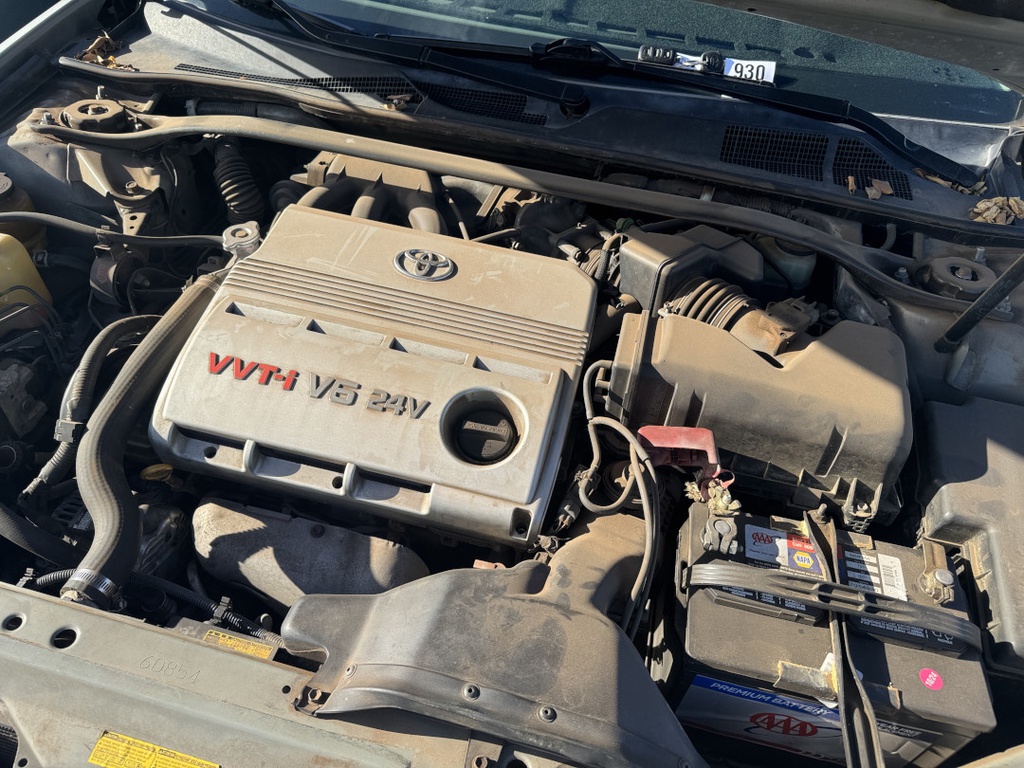 Pacific Auto Auction 2025.10.28.IMG_0379.JPG