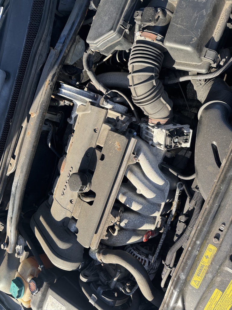 Pacific Auto Auction 2025.10.28.IMG_0391.JPG