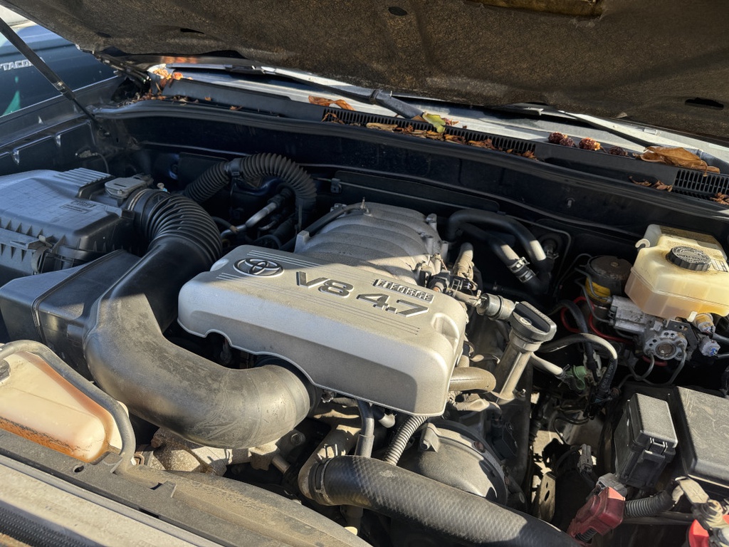 Pacific Auto Auction 2025.10.28.IMG_0413.JPG