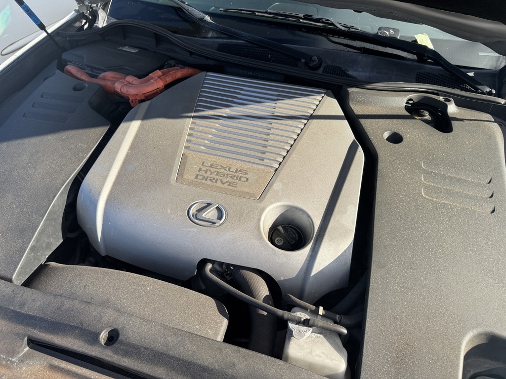 Pacific Auto Auction 2025.10.28.IMG_0435.JPG