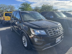 Pacific Auto Auction 2025.10.28.IMG_0471.JPG