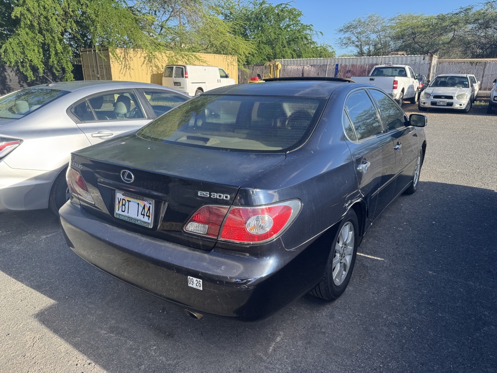 Pacific Auto Auction 2025.10.28.IMG_0497.JPG